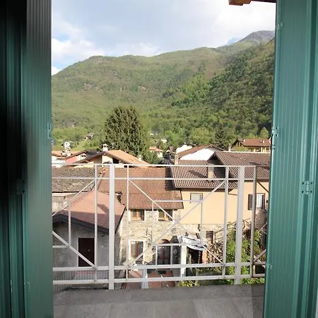 Tulipano